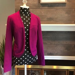 The Limited Fuchsia Suit Jacket